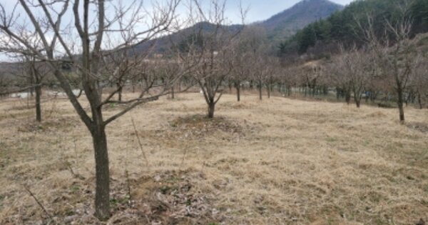 경상북도 경산시 남산면 평기리 OOO O OOO 전 경매 물건 이미지