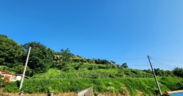 충청남도 보령시 청소면 죽림리 OOOOO 전 경매 물건 이미지
