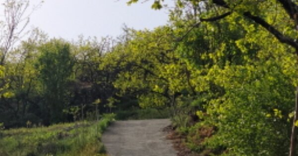 경상북도 청도군 매전면 송원리 OOO 전 경매 물건 이미지