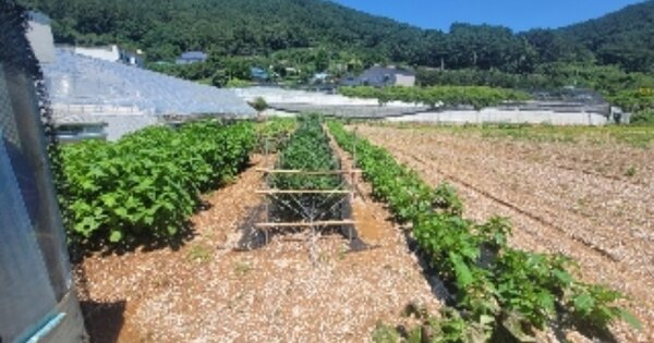 경상남도 통영시 평림동 OOOOO 답 경매 물건 이미지