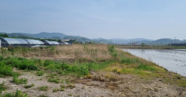 충청남도 아산시 둔포면 신양리 OOOOO 답 경매 물건 이미지