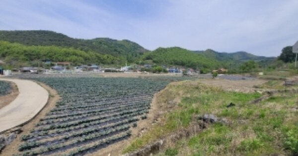 충청북도 괴산군 장연면 장암리 OOO 답 경매 물건 이미지
