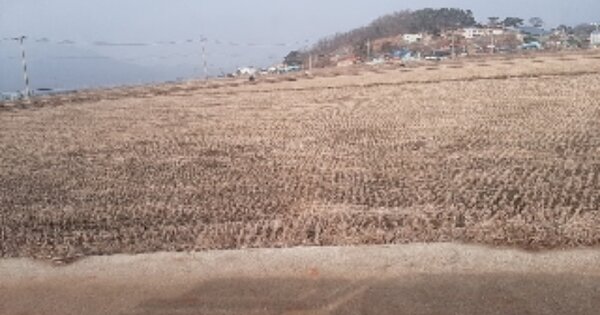 인천광역시 강화군 하점면 망월리 OOOO 답 경매 물건 이미지