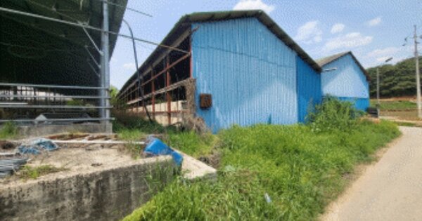 전라북도 임실군 지사면 금평리 OOO O OOO 동물 및 식물 관련시설 경매 물건 이미지
