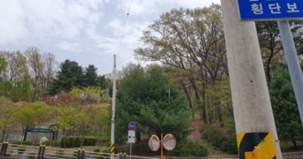 경기도 용인시 기흥구 상하동 OOOOO 임야 경매 물건 이미지