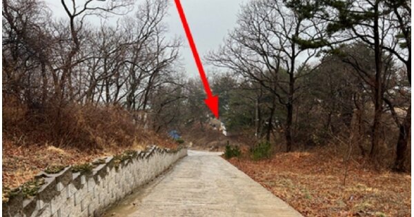 인천광역시 옹진군 자월면 자월리 OOOOOO 임야 경매 물건 이미지