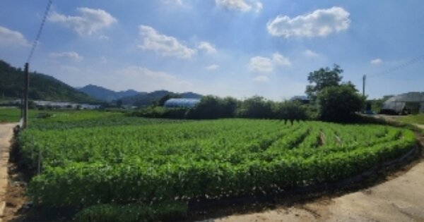 충청북도 괴산군 불정면 외령리 OOO 대지 경매 물건 이미지