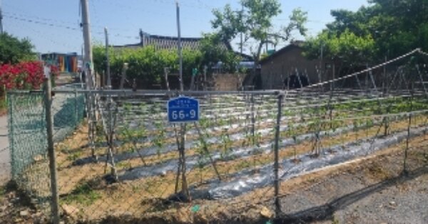 전라남도 나주시 남평읍 대교리 OOOO 대지 경매 물건 이미지