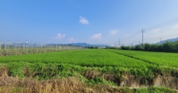 충청북도 보은군 삼승면 송죽리 OOO 답 경매 물건 이미지