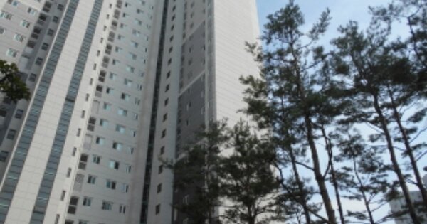 세종특별자치시 고운동 1706, 807동 OOO OOOOO OOOOO OOOOOOOO 아파트 경매 물건 이미지