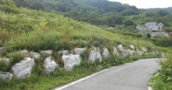 대전광역시 동구 효평동 OOOOO O OOO 전 경매 물건 이미지