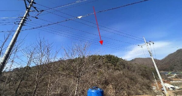 충청북도 단양군 어상천면 대전리 OOO O OOO 임야 경매 물건 이미지