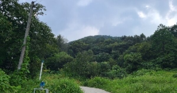 전라남도 화순군 사평면 검산리 OOO 임야 경매 물건 이미지