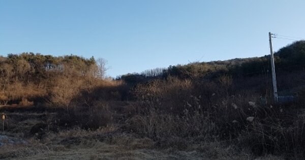 경상북도 군위군 소보면 송원리 OOOOOO 답 경매 물건 이미지