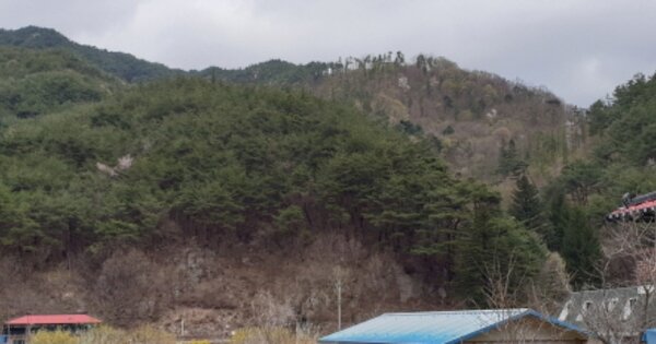 경상남도 함양군 서상면 옥산리 OOO O OOO 임야 경매 물건 이미지