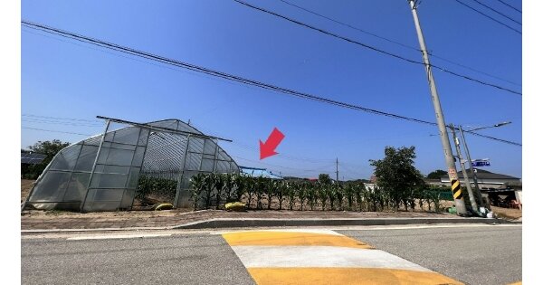 강원도 고성군 죽왕면 야촌리 OOOOO 대지 경매 물건 이미지