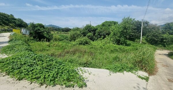 경상남도 함양군 백전면 평정리 OOO 답 경매 물건 이미지