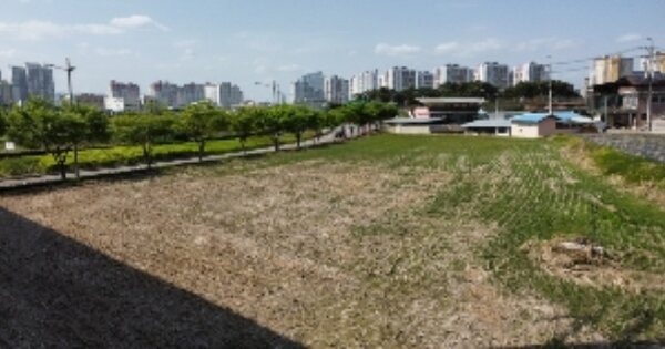 경상북도 김천시 남면 옥산리 OOOOO 답 경매 물건 이미지