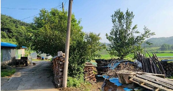 충청남도 보령시 웅천읍 구룡리 OOO O OOO 전 경매 물건 이미지