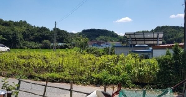 충청남도 서천군 장항읍 성주리 OOO 전 경매 물건 이미지
