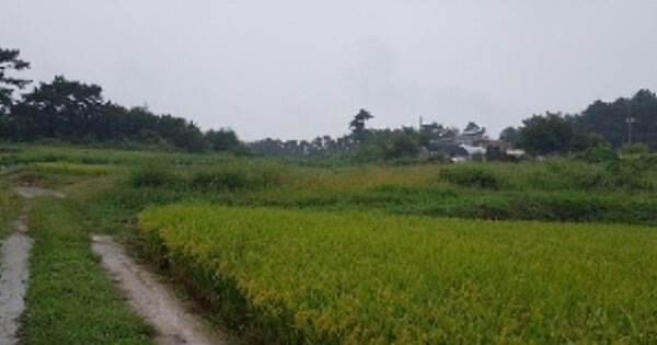 충청남도 보령시 천북면 학성리 OOO 전 경매 물건 이미지