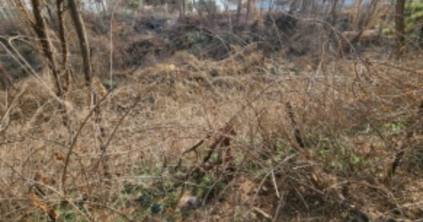 전라북도 익산시 함열읍 남당리 OOOOO 전 경매 물건 이미지