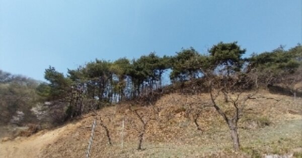 충청남도 공주시 우성면 한천리 OOOOO 임야 경매 물건 이미지