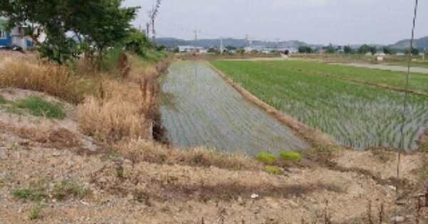 충청남도 공주시 우성면 목천리 OOOOO 답 경매 물건 이미지