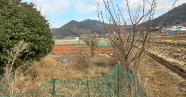 경상남도 거제시 양정동 OOO 답 경매 물건 이미지