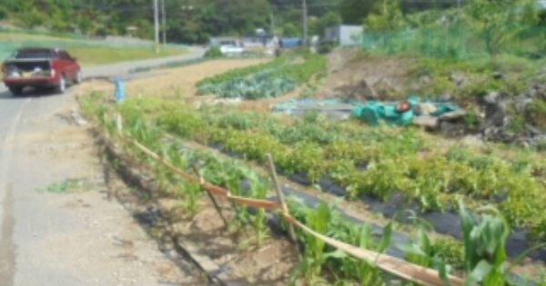 충청남도 계룡시 엄사면 향한리 OO 답 경매 물건 이미지