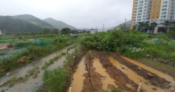 경상남도 거제시 고현동 OOOOOO O OOO 답 경매 물건 이미지