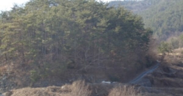 경상남도 남해군 남면 석교리 OOOOO 임야 경매 물건 이미지