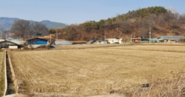 전라북도 정읍시 산외면 정량리 OOOOO 답 경매 물건 이미지