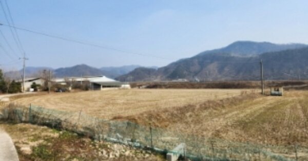 전라북도 정읍시 산외면 정량리 OOO 답 경매 물건 이미지
