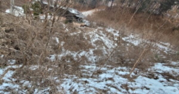 경기도 양평군 서종면 노문리 OOOOOO O OOOO 단독주택 경매 물건 이미지