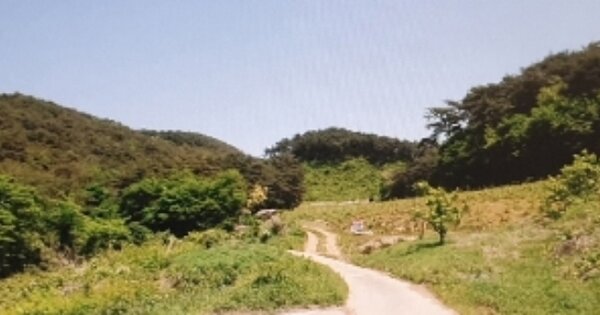 전라북도 순창군 풍산면 유정리 OOO 임야 경매 물건 이미지
