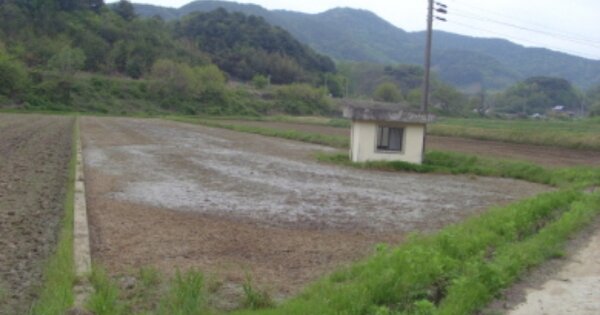 경상남도 하동군 양보면 감당리 OOOO 답 경매 물건 이미지