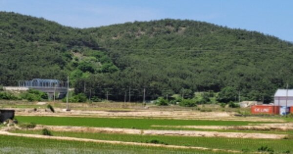 경상북도 포항시 북구 송라면 조사리 OOOOOO 답 경매 물건 이미지