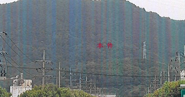 대구광역시 달성군 논공읍 본리리 OOO 임야 경매 물건 이미지