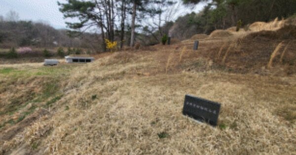 전라북도 임실군 성수면 도인리 OOOOO O OOO 임야 경매 물건 이미지