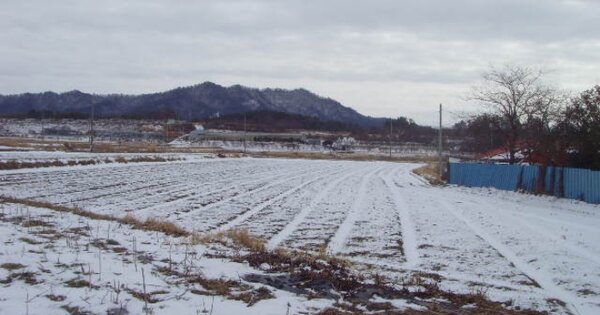 전라남도 해남군 계곡면 신평리 OOO O OOO 답 경매 물건 이미지