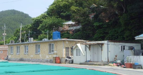 전라남도 완도군 금일읍 충동리 OOOOOO 대지 경매 물건 이미지
