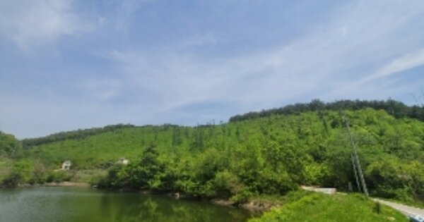 충청북도 괴산군 칠성면 비도리 OOOOOO 임야 경매 물건 이미지