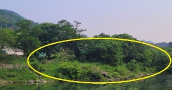 충청북도 괴산군 청천면 후영리 OOOO 임야 경매 물건 이미지