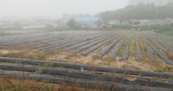충청북도 청주시 청원구 사천동 OOOOOO 임야 경매 물건 이미지