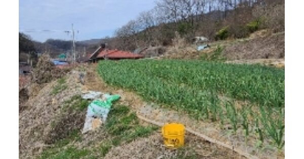 전라남도 화순군 동면 복암리 OOOOO 대지 경매 물건 이미지
