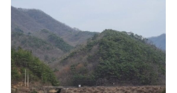 전라남도 화순군 한천면 고시리 OOO 임야 경매 물건 이미지
