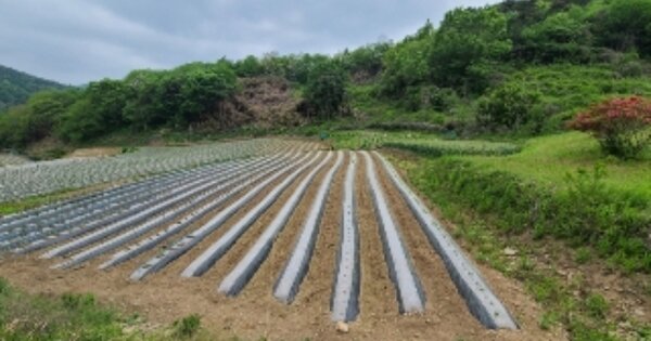 전라남도 곡성군 오산면 운곡리 OOO 전 경매 물건 이미지