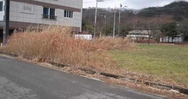 경상북도 상주시 청리면 마공리 OOOOOO O OOO 대지 경매 물건 이미지