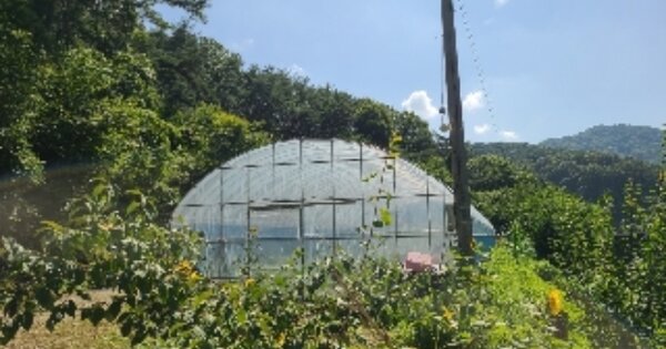 광주광역시 동구 내남동 OO 전 경매 물건 이미지